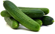Cucumber Sapanta F1