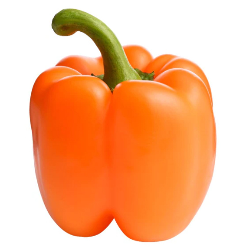 Sweet pepper MOZART F1
