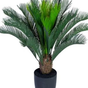 نخيل السايكس